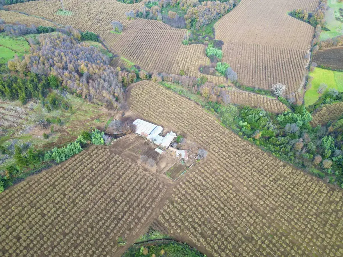 Vista aérea con dron de campo agrícola en Ñuble